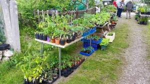 Ready for the onslaught!