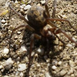 11242637_1589320981345837_1283532893_n