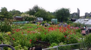 11402974_916108035117554_468864771664928552_n