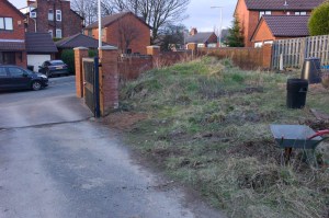  Accessible Garden March 2012