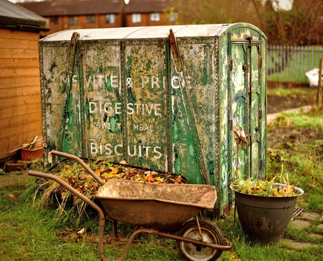 Allotment (19 of 51)