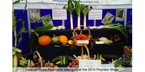 coppice-allotment-winning-entry-600-298-text