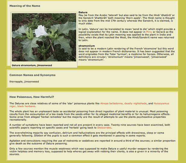 >>> Click image for more information <<<