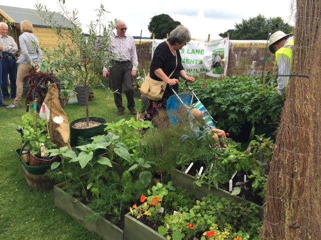 Billy's Lane Allotments Display at Tatton RHS Flower Show 2015