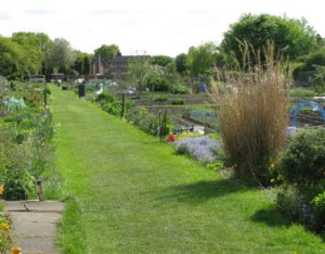 Screen Shot 2015-01-05 at 21.49.56