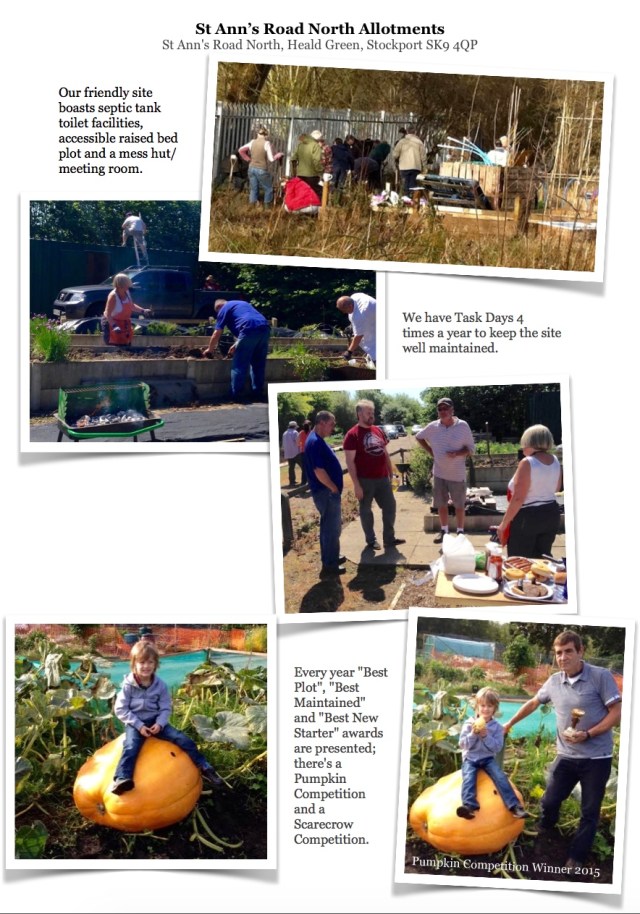 Click for printable version