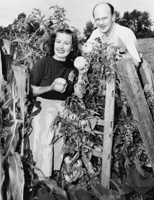 AllotmentInfo_History_99830804