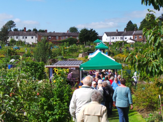 hgaa-open-day-2015-20