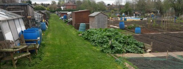 Spring on St Lesmo Allotments 12-04-2014 11.49.58 - Version 2