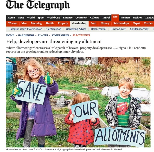 Click for the whole article