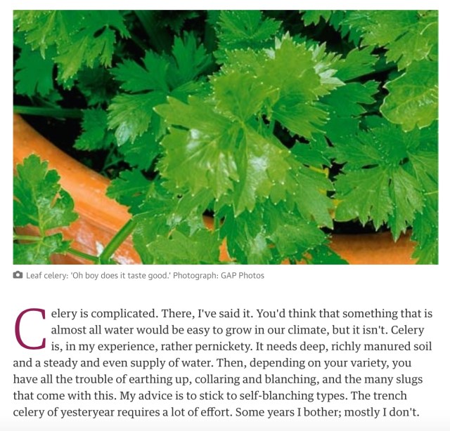 Click image for full article from Alys Fowler