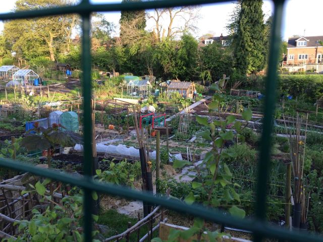 Seven Stiles Allotments