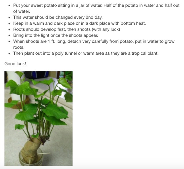 Click for full article