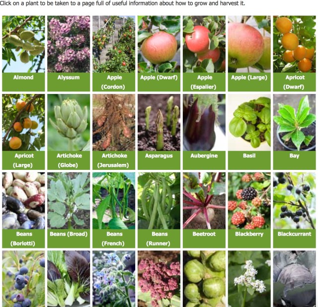 Click image for more details