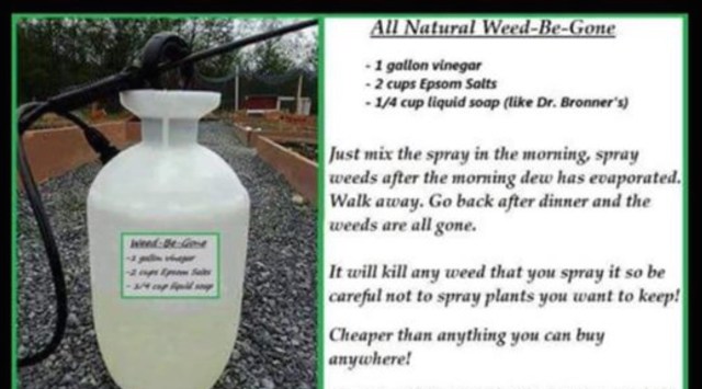 Screen Shot 2015-05-18 at 10.26.12