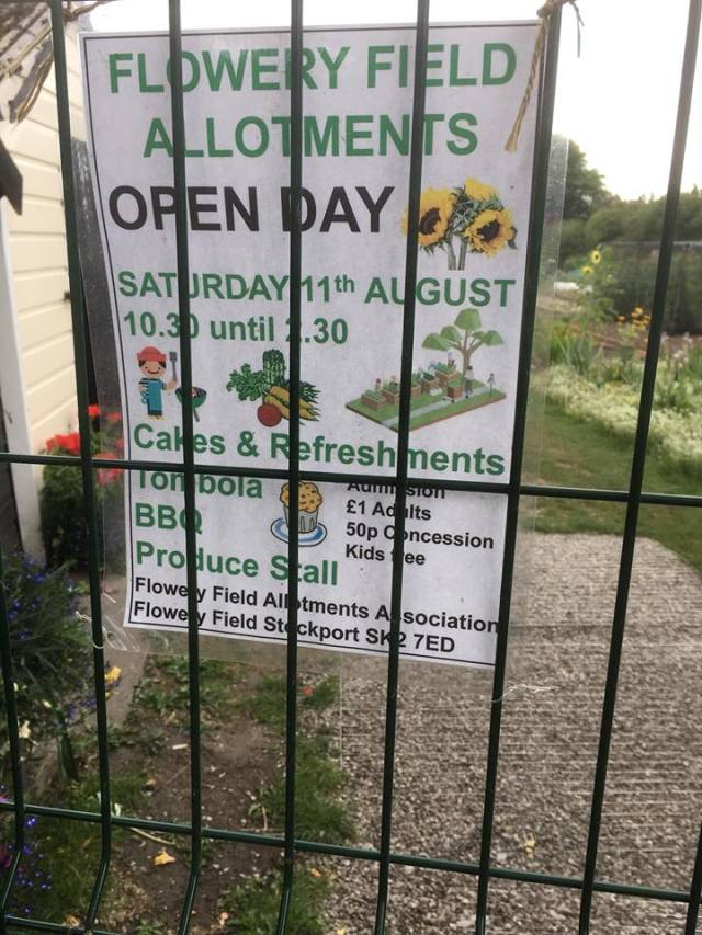 38670980_1793686417346159_197769873747607552_n