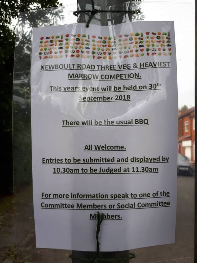 41423547_10215428374050279_5559579485268869120_n